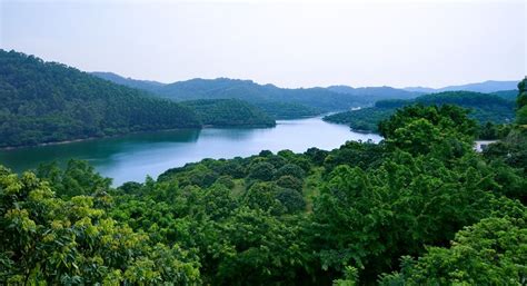 dalingshan forest park